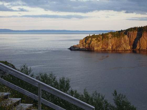 Urlaub in Neufundland: Blick auf Salmon Cove im Abendlicht. Hier erspähte ich meinen ersten "kanadischen" Wal.