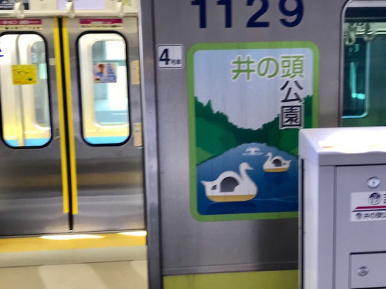 ☆井の頭線の2番ホームの急行のボディー。井の頭公園のイラスト。