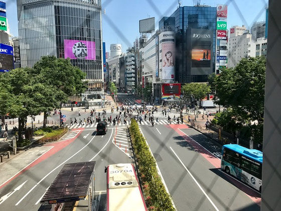 ☆連絡通路の上からスクランブル交差点を撮影。午前10:00前のため夕方の混雑ほどではありません。外国からの観光客に人気のスポットだそうです。