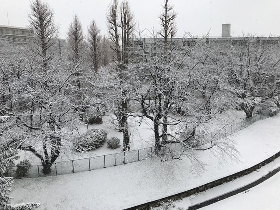 ☆出かけたのは9：34まだ小雨。帰宅は13：55こんな雪景色。