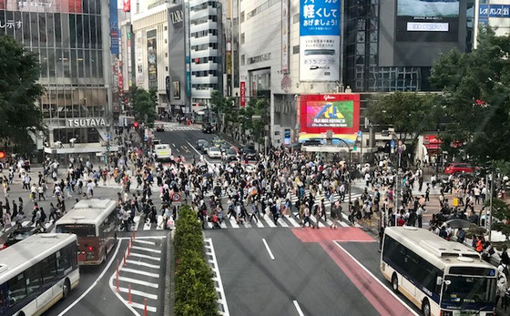 ☆京王井の頭線の渋谷駅の改札を出てJRへの連絡通路の左側。眼下にスクランブル交差点。外国人観光客の撮影スポットとか。