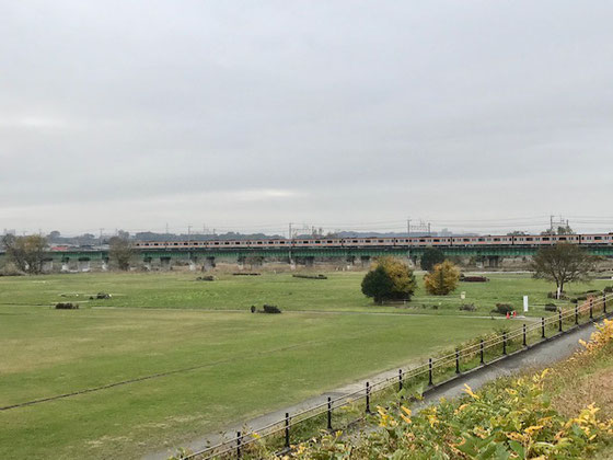 ☆アポより少し早く着いたので立川市福祉会館裏手の多摩川河川敷に。前方はJR中央線の鉄橋に電車が見えました。