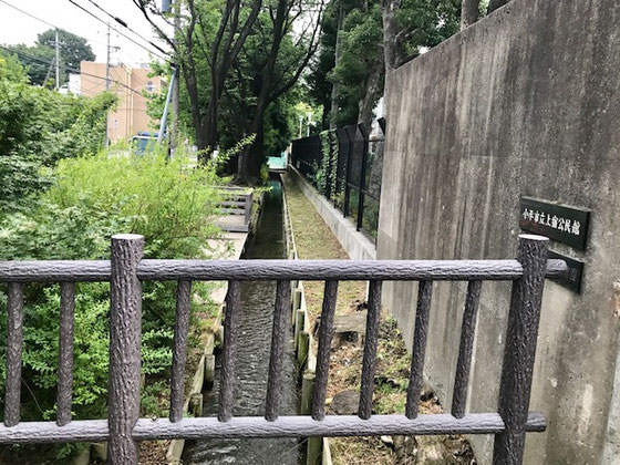 ☆公民館の前を「小川用水」のきれいな水が流れています。1656年開削。左側に青梅街道。