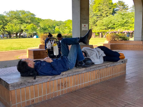 ☆アベックさんが仲良く昼寝中。