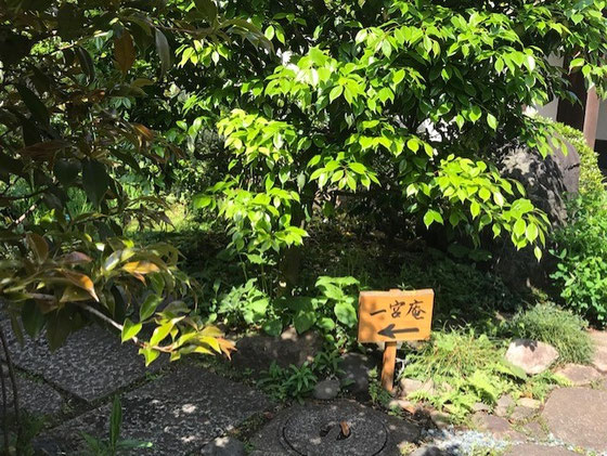 ☆案内板「一宮庵 ←」。