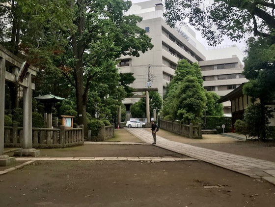 ☆千代田線の根津で降りて不忍通りから根津神社の境内を通り抜けると正面に日本医科大学付属病院。