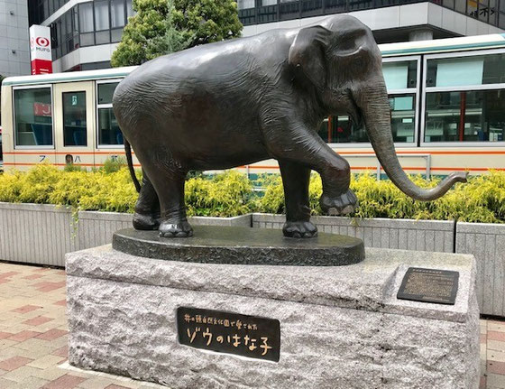 JR中央線吉祥寺駅北口駅前広場。