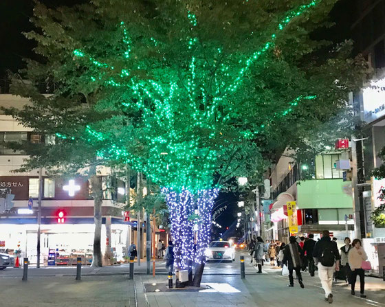 ☆小田急線成城学園前駅北口のイルミネーション。ただいま17：43。会議は18:00から。もう暗い。