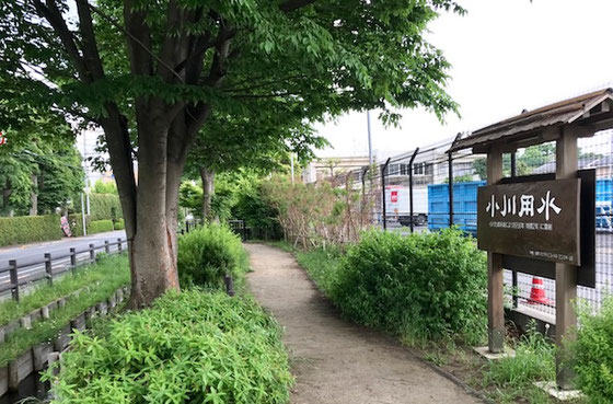 ☆西武線東大和市駅南側から（バスはありますが本数が少ないので）青梅街道を沿いに歩きました。