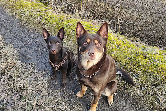 links Wednesday und rechts Ruby