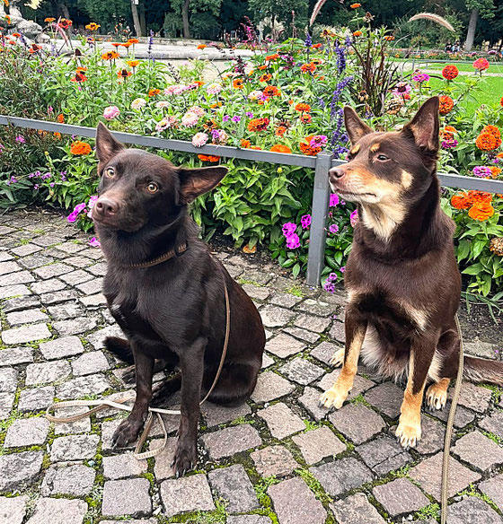 Wednesday und Ruby Red