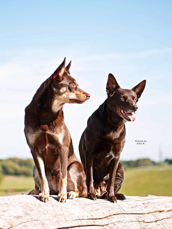 Ruby und March