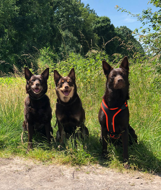 March, Ruby und Taio