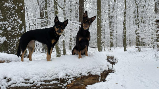 Asta und Tarja