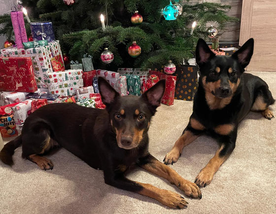 Tarja und Asta