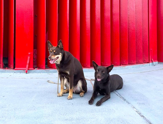 Ruby und Wednesday