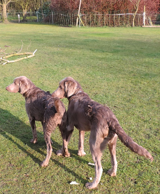 Afra und Alf