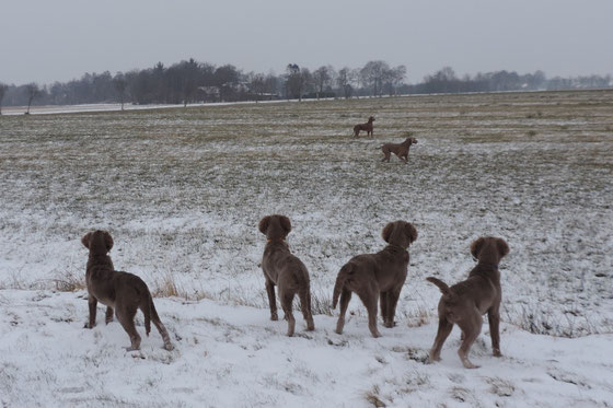 Der Winter hat uns besucht...