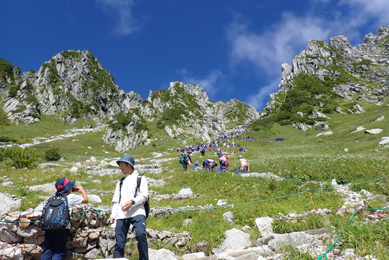 木曽駒ヶ岳　登山　日帰り　ツアー　ガイド　ライチョウ　解説