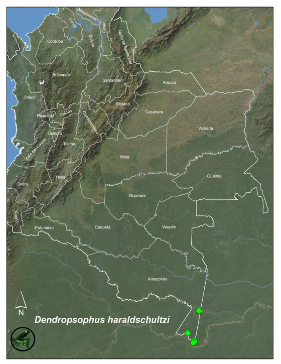 Dendropsophus haraldschultzi, registros en Colombia