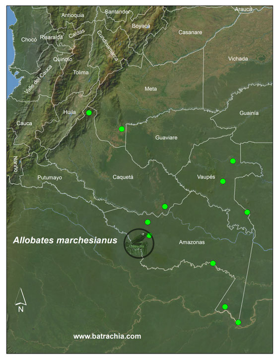 Lista y Mapas Anfibios de Colombia