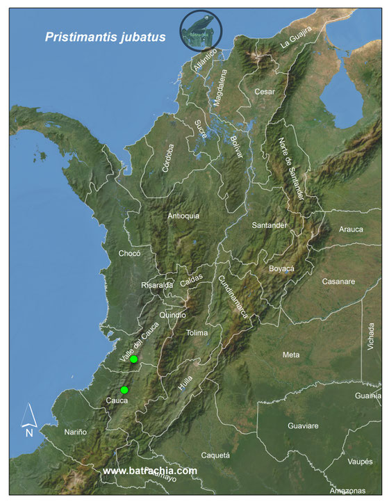 Lista y Mapas Anfibios de Colombia