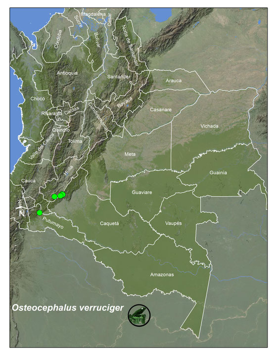 Lista y Mapas Anfibios de Colombia