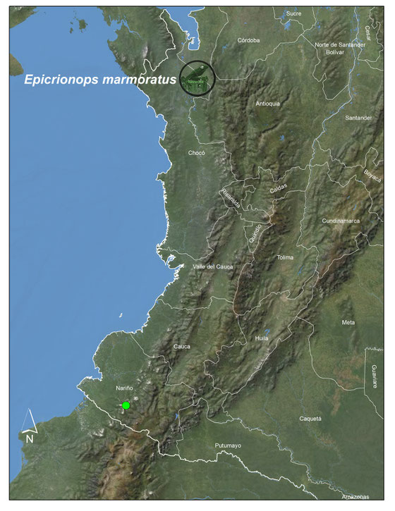 Epicrionops marmoratus, Distribución en Colombia