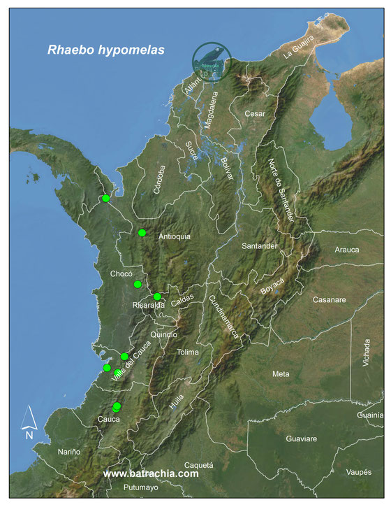 Rhaebo hypomelas, registros en Colombia