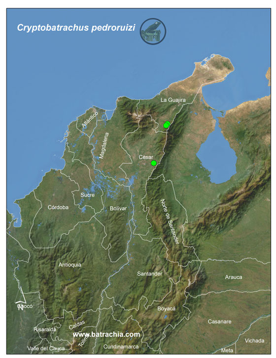 Distribución en Colombia.