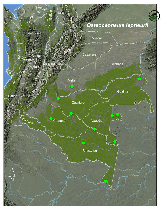 Lista y Mapas Anfibios de Colombia