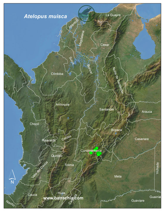 Distribución en Colombia