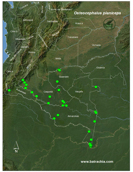 Lista y Mapas Anfibios de Colombia