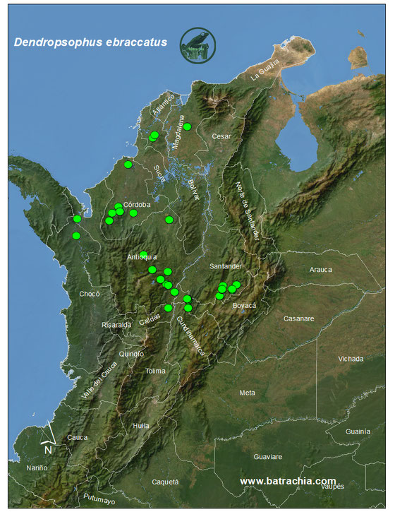 Dendropsophus ebraccatus , distribución de Colombia