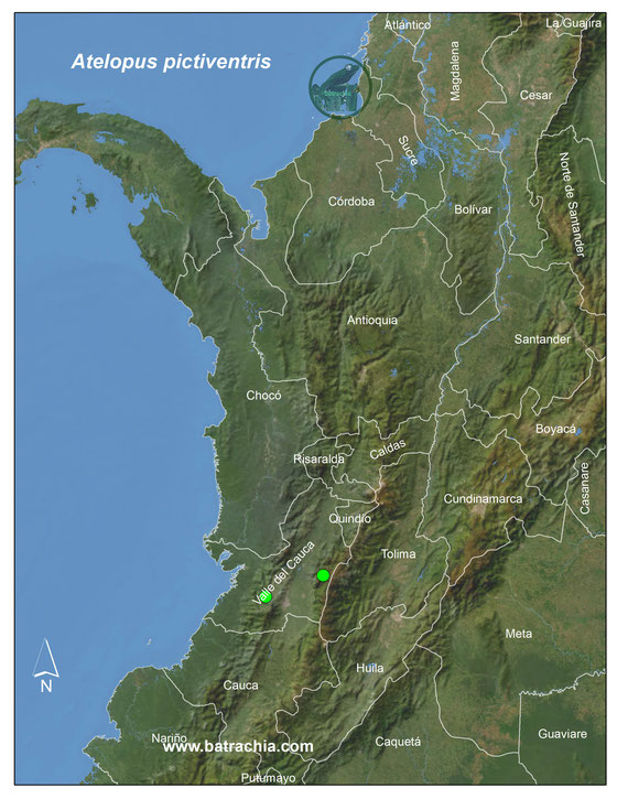 Distribución en Colombia