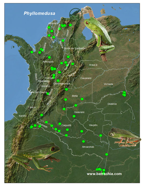 registros en Colombia