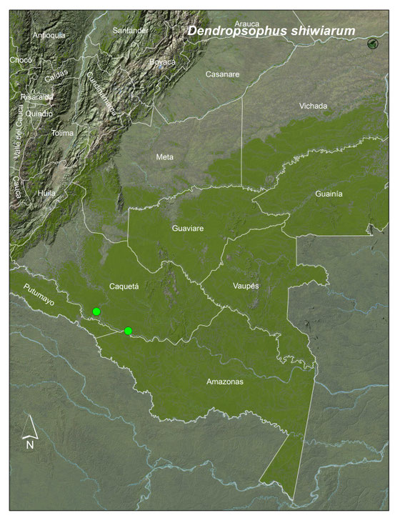 Dendropsophus shiwiarum registros en Colombia