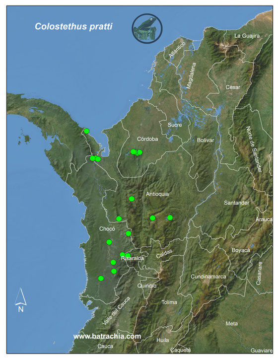 Lista y Mapas Anfibios de Colombia