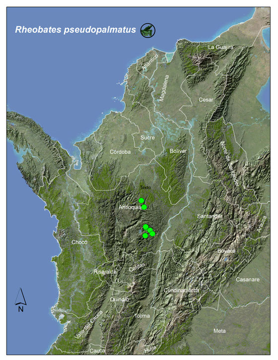 Distribución en Colombia