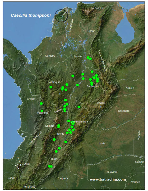 Caecilia thompsoni, registros en Colombia