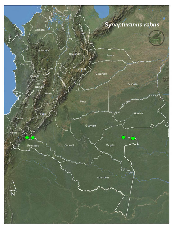 Synapturanus rabus, registros publicados en Colombia