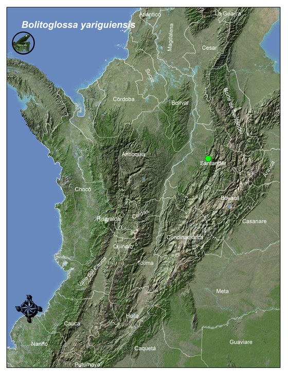 Lista y Mapas Anfibios de Colombia