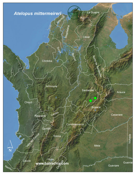 Distribución en Colombia