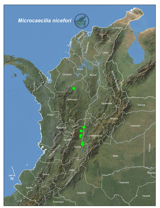 Microcaecilia nicefori, registros en Colombia