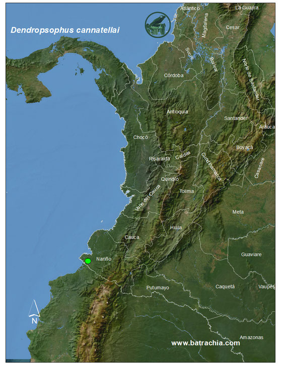 Dendropsophus ebraccatus , distribución de Colombia