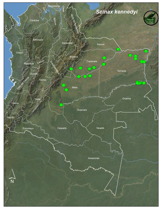 Scinax kennedyi, registros en Colombia