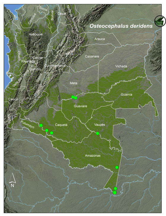 Lista y Mapas Anfibios de Colombia