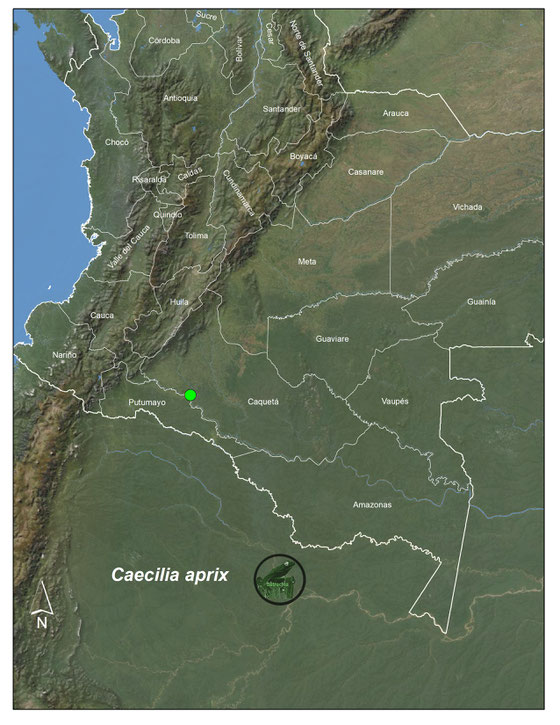 Registros en Colombia