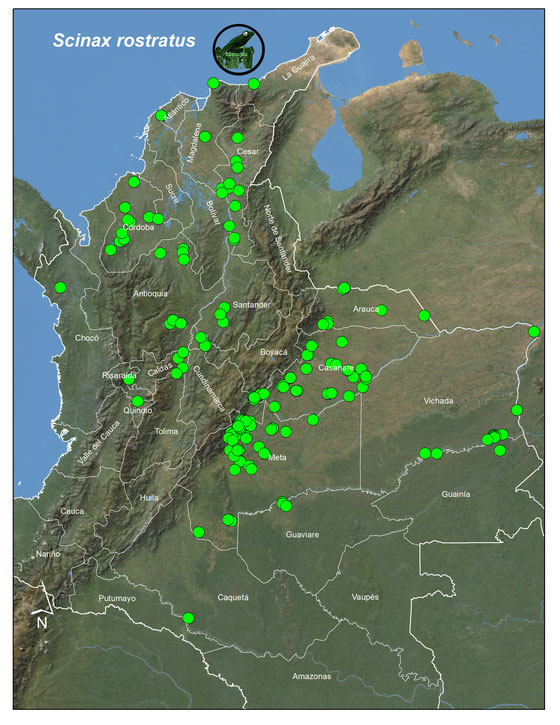 Scinax rostratus, Registros en Colombia