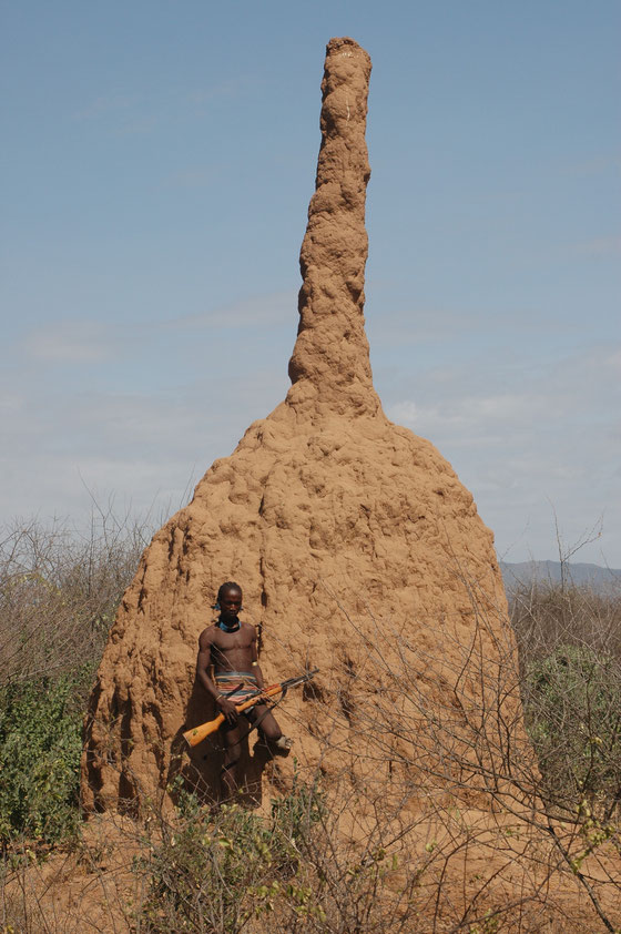 Termite mound of fungus growing termites (Macrotermes sp.) in Southern Ethiopia. (Photo: M. Stüben).